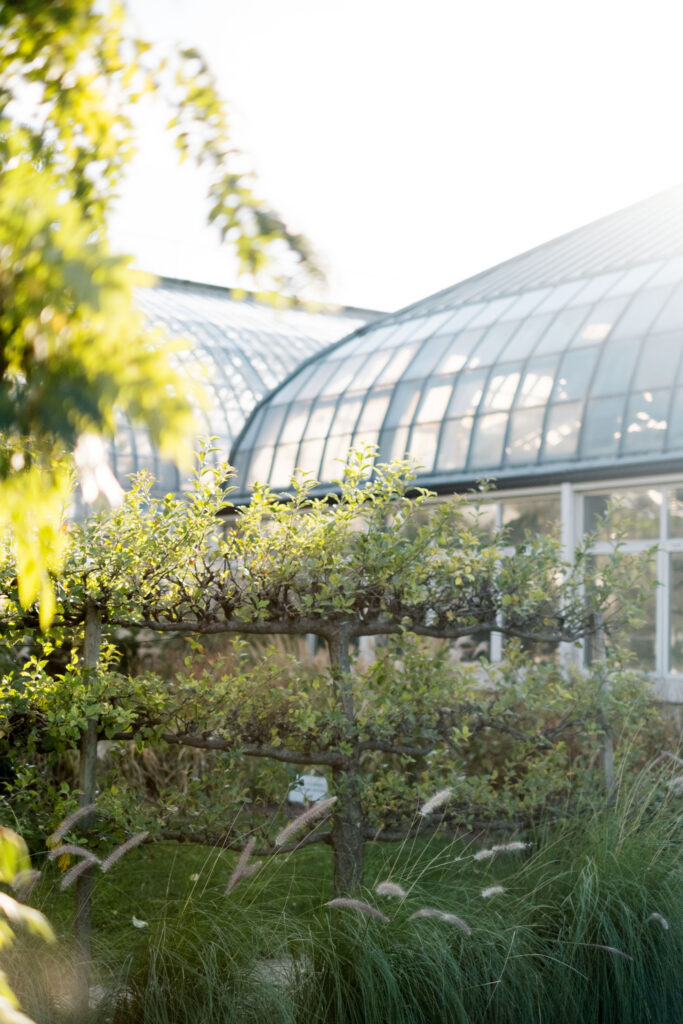 A stunning fall wedding at Garfield Park Conservatory in Chicago. The vibrant autumn foliage serves as a breathtaking backdrop for a couple’s ceremony in the Horticulture Hall, with floor-to-ceiling windows letting in the perfect natural light. Captured by Violet Carter Photography.